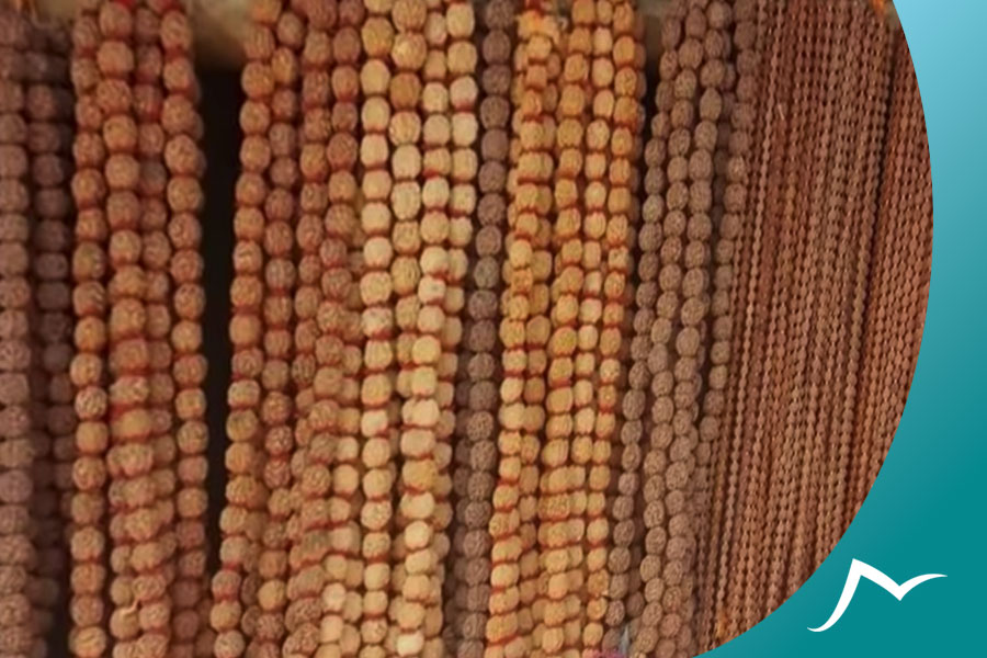 Rudraksha in Nepal: The Way to Spiritual Awakening Rudraksha in Nepal