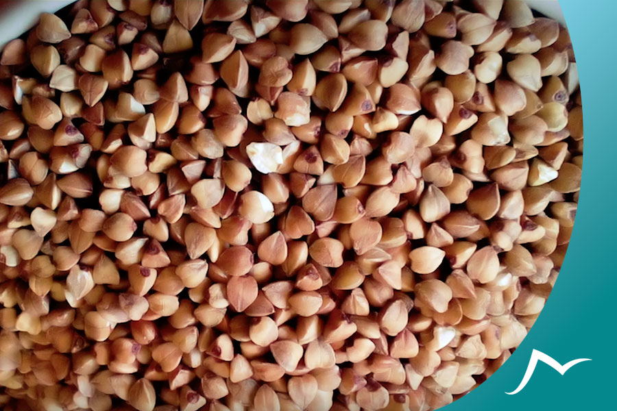 Buckwheat Bread in Nepal: From Classic to Super Trendy Buckwheat Bread in Nepal
