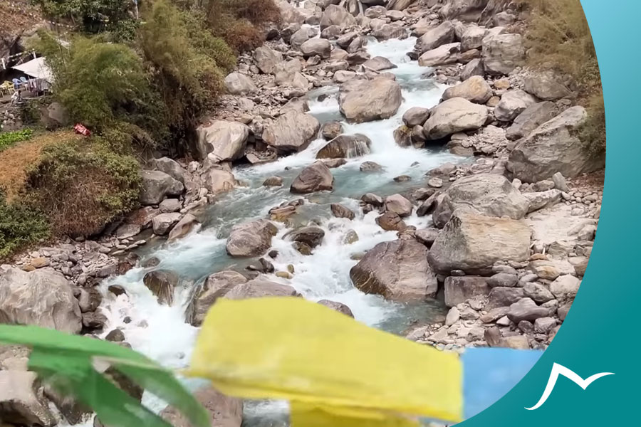 Finding Beauty in Difficulty: How Difficult is the Langtang Trek? How Difficult is the Langtang Trek