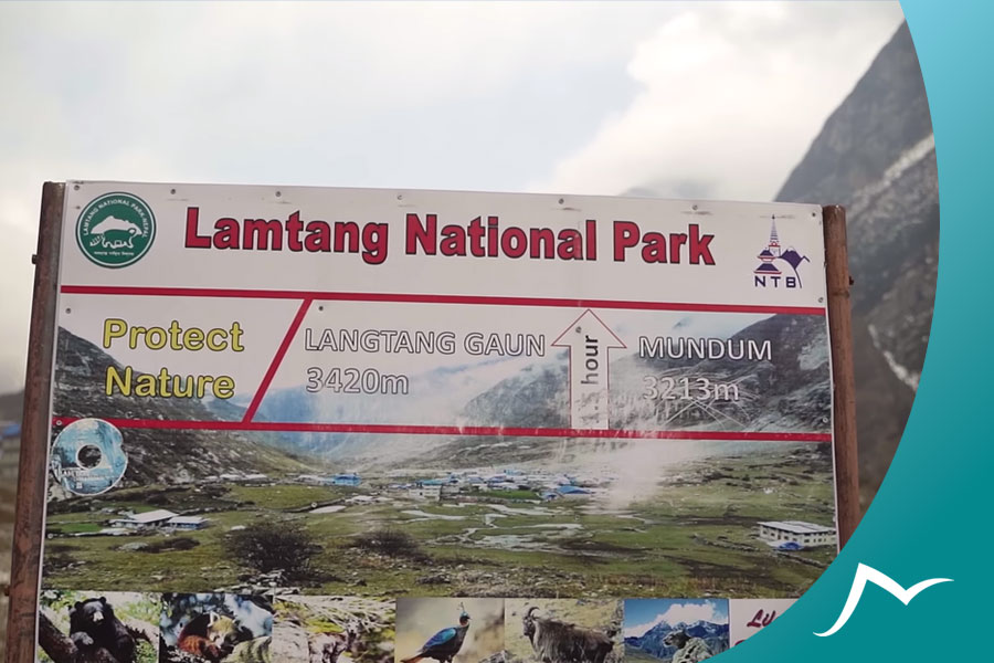 How-Difficult-is-the-Langtang-Trek-5 How Difficult is the Langtang Trek