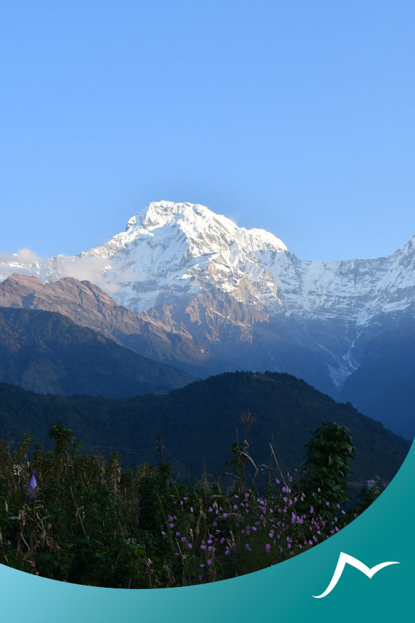How to Reach Ghandruk: A Haven of Enchanting Culture and Breathtaking Scenery Ghandruk view