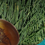 The Aromatic Nepali Herb Jimbu: A Versatile Ingredient for Your Recipes