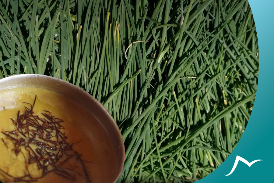 The Aromatic Nepali Herb Jimbu: A Versatile Ingredient for Your Recipes The Aromatic Nepali Herb Jimbu: A Versatile Ingredient for Your Recipes