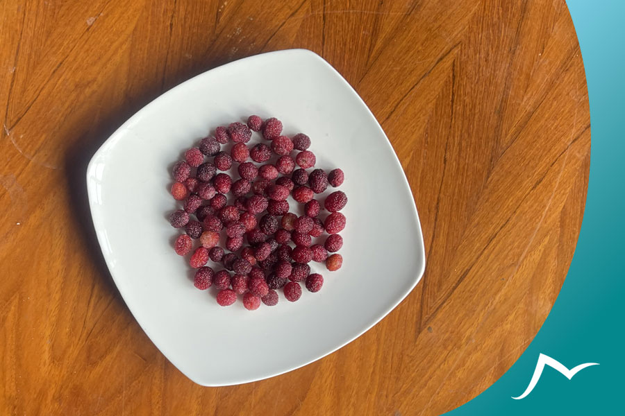 Neplese Bay Berry (Kaafal): A Delicious and Nutritious Wild Fruit of Nepal Neplese Bay Berry in a plate