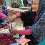 Neplese Bay Berry (Kaafal): A Delicious and Nutritious Wild Fruit of Nepal