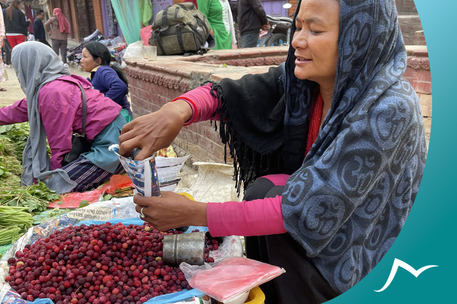 Neplese Bay Berry (Kaafal): A Delicious and Nutritious Wild Fruit of Nepal Neplese Bay Berry (Kaafal): A Delicious and Nutritious Wild Fruit of Nepal