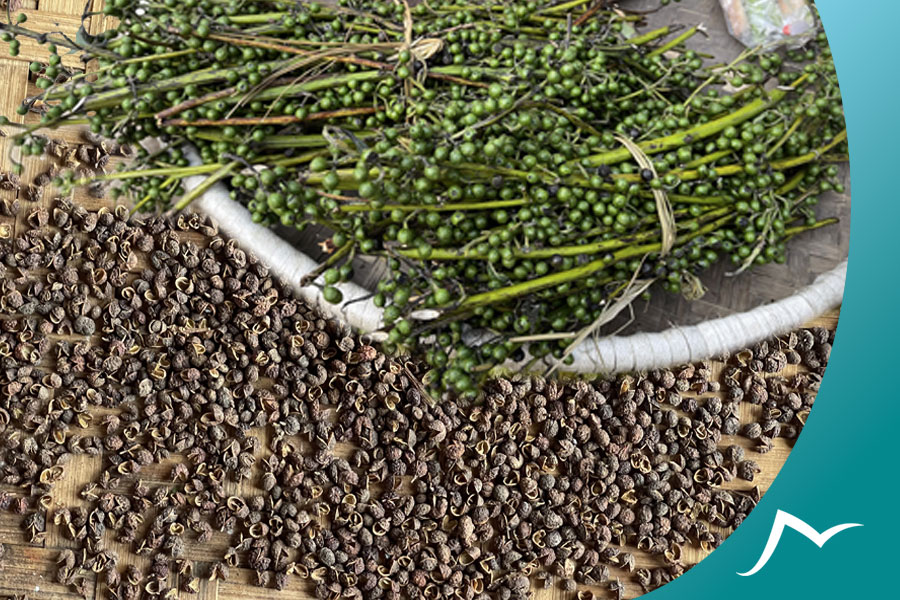 Uncovering the Unique and Distinctive Taste of Timmur in Nepalese Cuisine