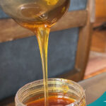 Discovering the World of Bitter Honey of Nepal: Everything You Need to Know