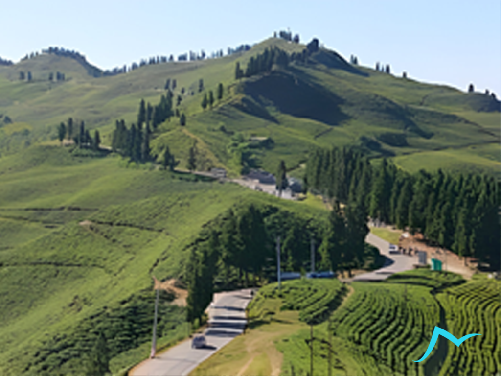 Enchanting Ilam: Nature and Culture